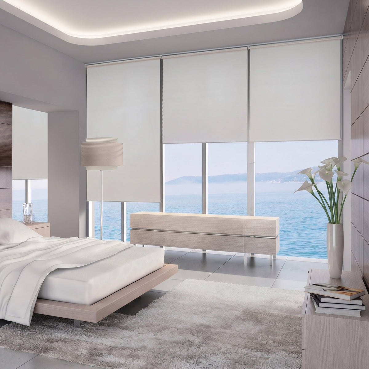 Double Sided Blackout Roller Shade