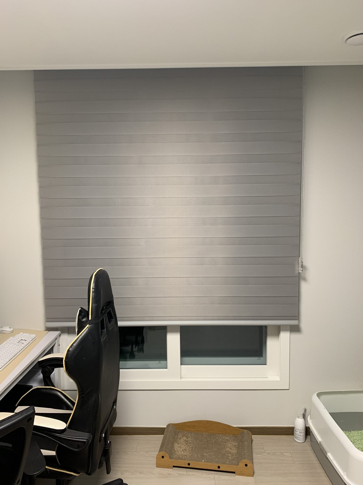 Zebra shade in a bedroom