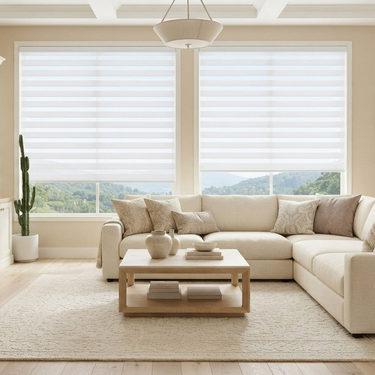 Soft Light Filtering Dual Zebra Shade