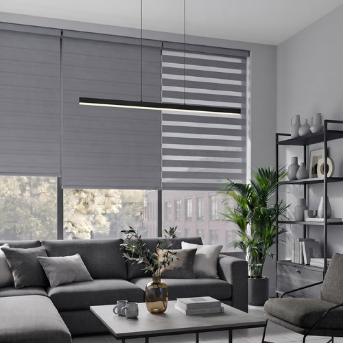 Soft Light Filtering Dual Zebra Shade