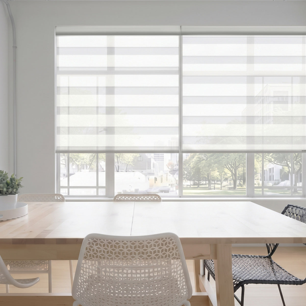 Soft Light Filtering Dual Zebra Shade