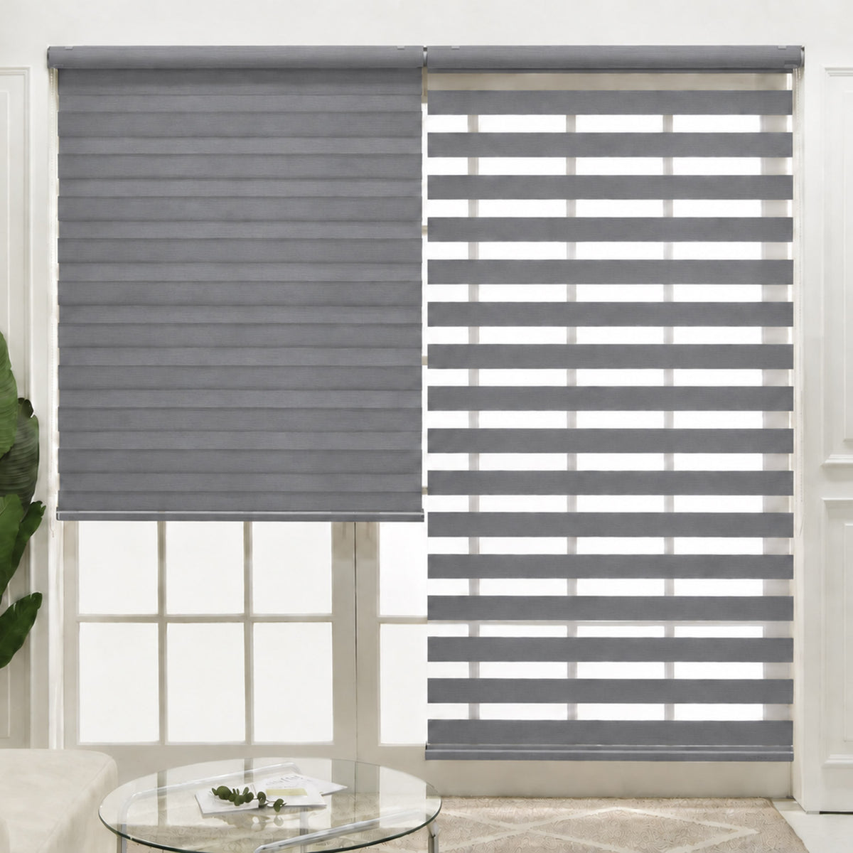 Sonic Blackout Dual Zebra Shade